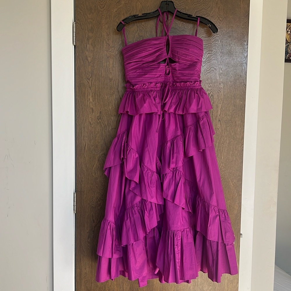 Ulla Johnson Simona runway Dress